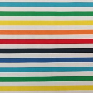 Primary Rainbow Stripe Rashguard